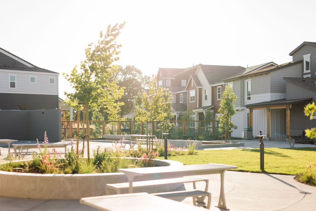 Sunflower Hill at Irby Ranch