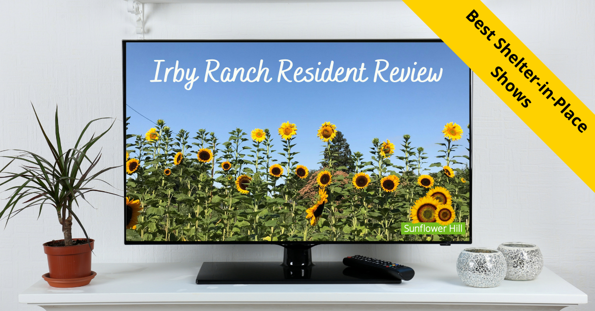 TV with sunflowers on screen. Best shelter-in-place shows.