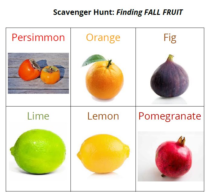Fall Fruit Scavenger Hunt Activity Guide
