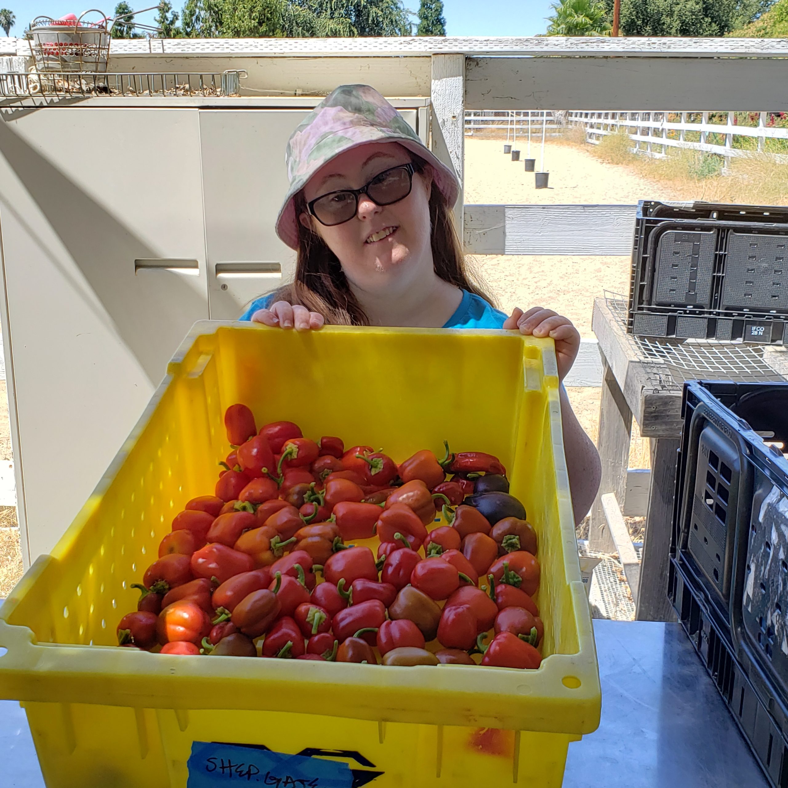 Lauren smiling holding a box full of freshly harvested red peppers at the Sunflower Hill Garden.