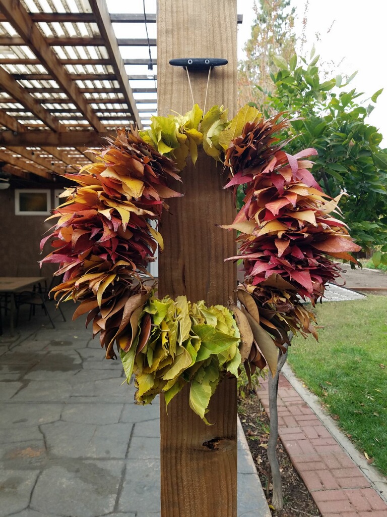 Make a Fall Leaf Wreath