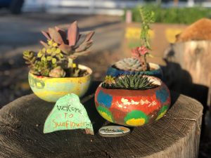 Two gourd planters with succulents