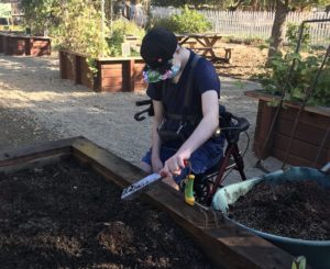 Program participant using a hori-hori tool to dig in a raised garden bed