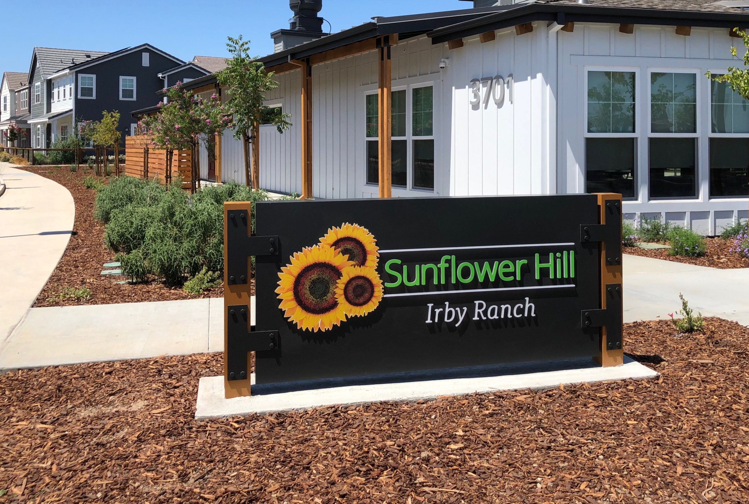 Sunflower Hill at Irby Ranch