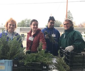 Tim with two program participants and a volunteer in the Sunflower Hill Garden, standing at the washing station with harvested rosemary.