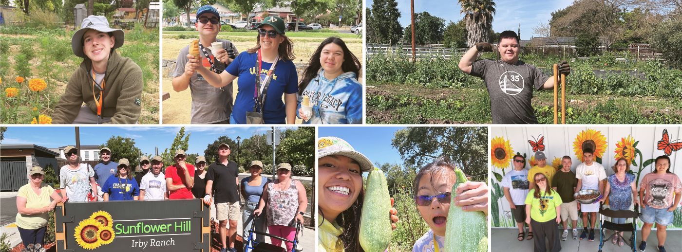 Sunflower Hill participants and residents