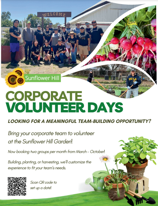 Corporate Garden Volunteer Days