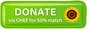 Donate via CHEF for 50% match