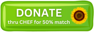 Donate thru CHEF for 50% match