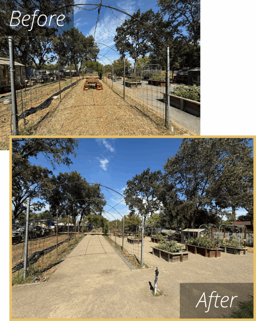 Garden Transformation Before and After