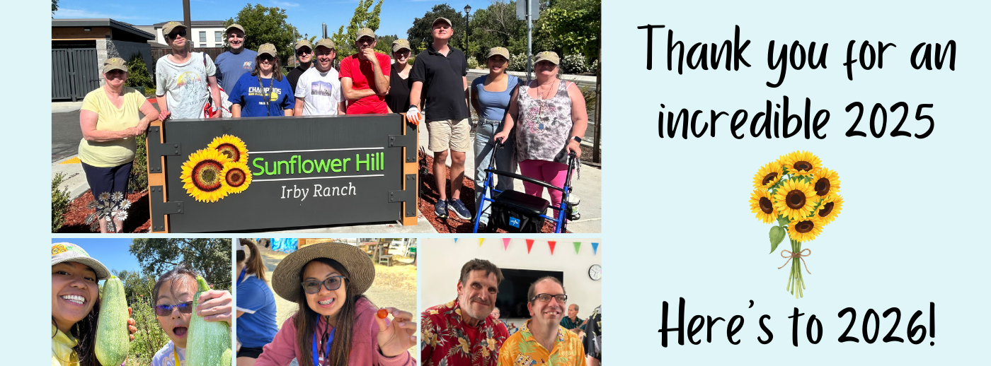 Thank your for an incredible 2025 - Here's to 2026!