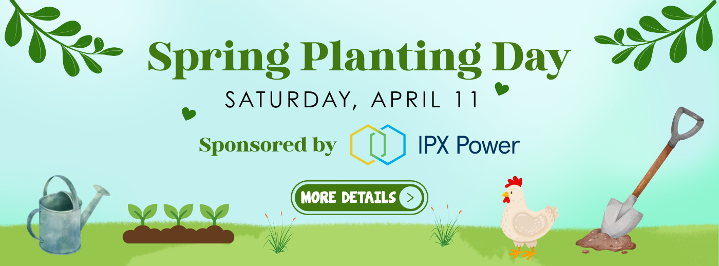 Spring Planting Day - More Details